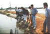 Field study at another farm